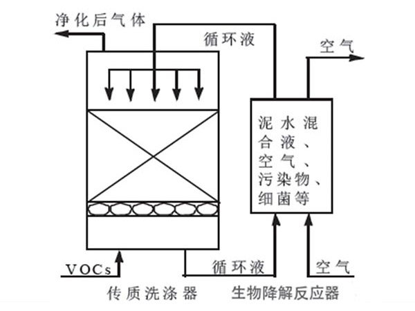 產品實體圖