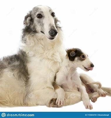 聯(lián)盟契約(手?jǐn)]無限代幣)加盟費(fèi)的成功案例分享